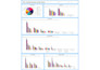 do data analysis create dashboards in power bi and excel and write sql query